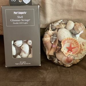 Shells and shell glimmer string with lights
